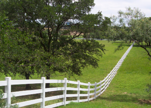Photo of a green field with a white fence that extends off into the distance. 