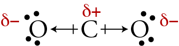 Image of the symmetrical geometric sketch, with partial charges of plus on the carbon atom and minus on the oxygen atoms