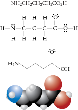 Image of the condensed formula, Lewis structure, line drawing, and space filling model for GABA