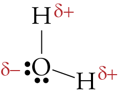 Image of the asymmetrical geometric sketch of H2O, with partial charges of minus on the oxygen atom and plus on the hydrogen atoms