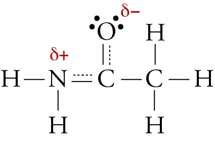 Image of the resonance hybrid for H2NCOCH3