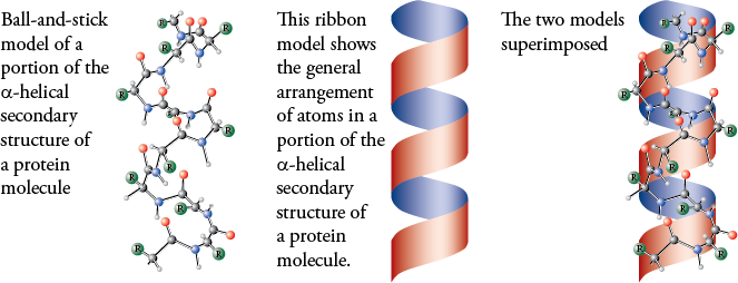 Image of the alpha helix secondary structure