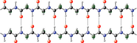 Image of the beta sheet secondary structure of a protein