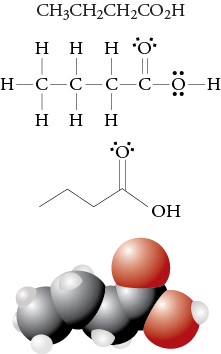 Image of the condensed formula, Lewis structure, line drawing, and space filling model for butanoic acid