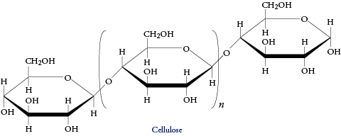 Image of the structure of cellulose