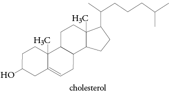 Image of the structure of cholesterol