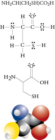 Image of the condensed formula, Lewis structure, line drawing, and space filling model for cysteine