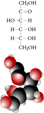 Image of the Lewis structure and space filling model for open chain fructose