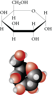 Image of the line drawing and space filling model for alpha galactose