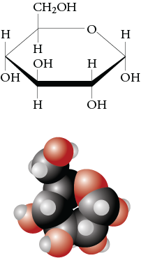 Image of the line drawing and space filling model for alpha glucose