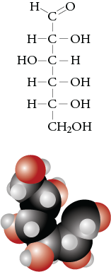 Image of the Lewis structure and space filling model for open chain glucose