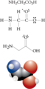 Image of the condensed formula, Lewis structure, line drawing, and space filling model for glycine