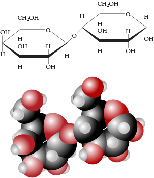 Image of the line drawing and space filling model for lactose