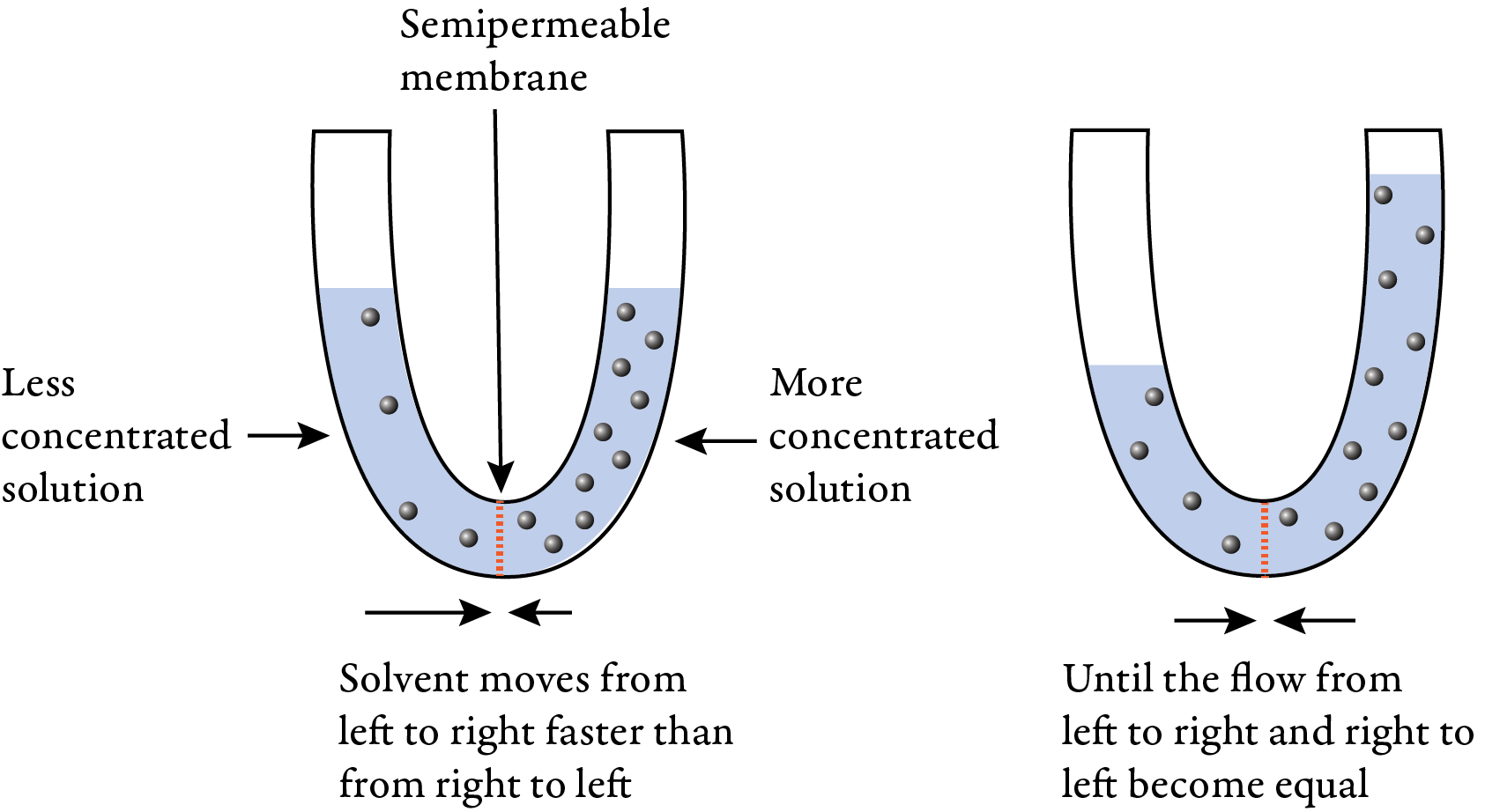 Image of the heating curve of water