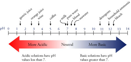 Image of the pH scale with examples