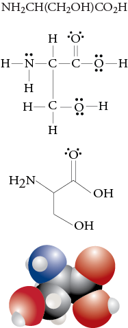 Image of the condensed formula, Lewis structure, line drawing, and space filling model for serine
