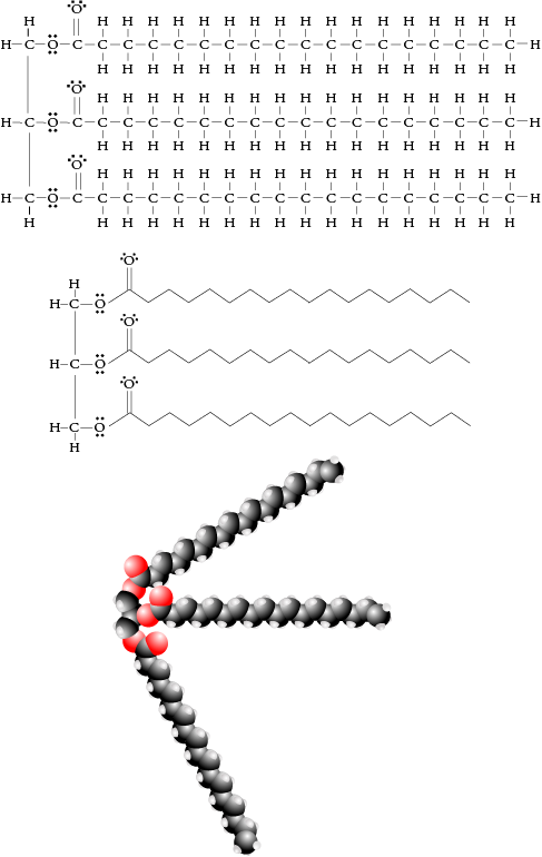 Image of the Lewis structure, line drawing, and space filling model for a saturated triglyceride